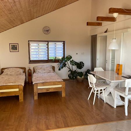 Apartmán v podhůří Jizerských hor Zelezny Brod Esterno foto
