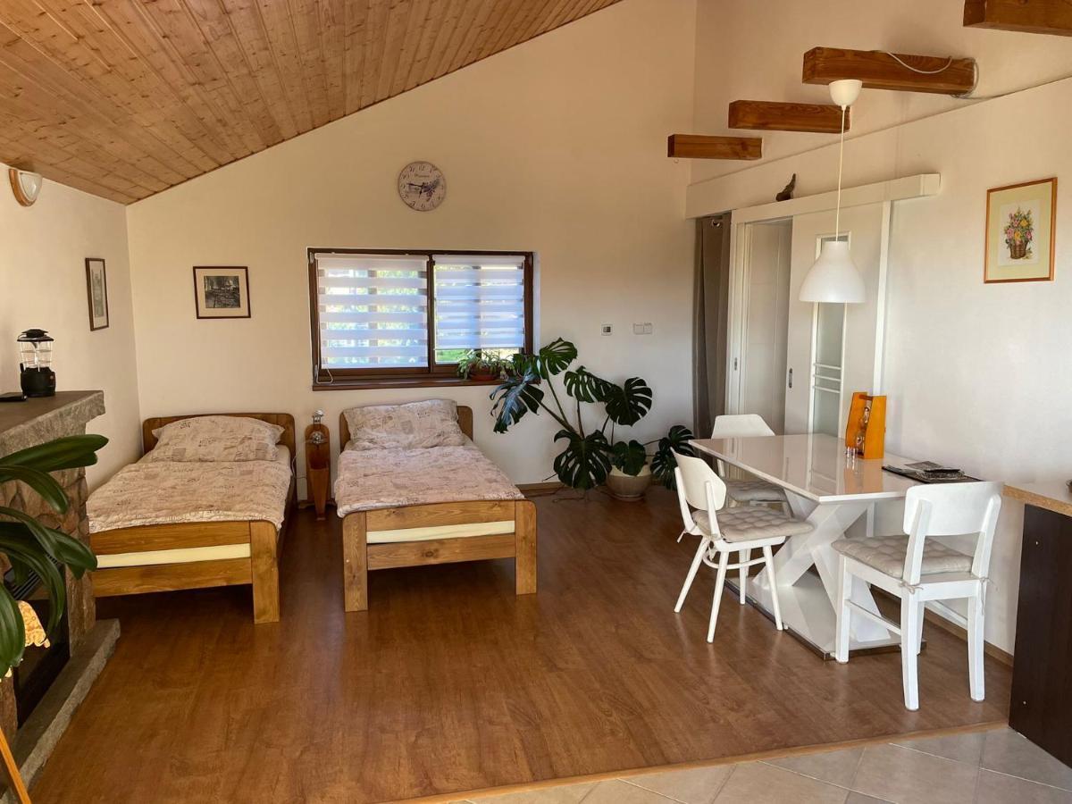 Apartmán v podhůří Jizerských hor Zelezny Brod Esterno foto