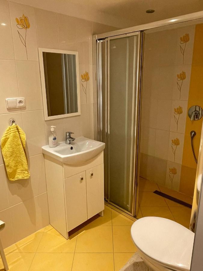 Apartmán v podhůří Jizerských hor Zelezny Brod Esterno foto